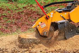 Best Aeration Services  in Chevy Chase Heights, PA